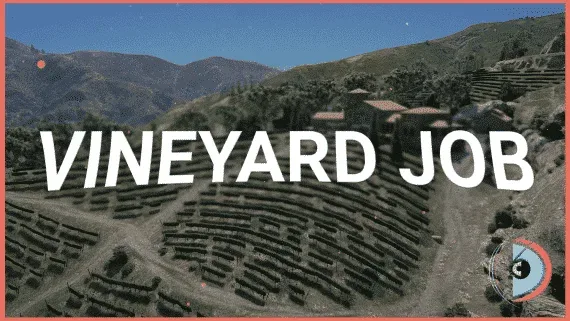 FiveM Vineyard Job Script with Full Winemaking Cycle